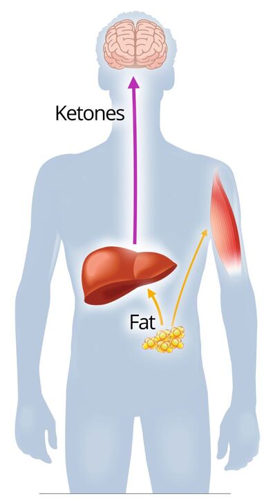 Ketosis with NexaSlim